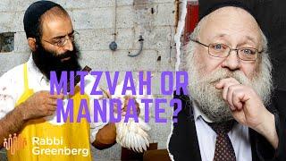 Rambam In-Depth I Mitzvah or Mandate?