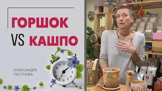 Горшок или кашпо - что выбрать? Разница, недостатки и плюсы каждого из них. Сравниваем и выбираем.