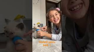 sevimli yavru kedi süper kedi ırmak Aydın:)