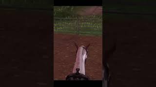 Western Run  Star Stable Online Edit  #shorts #starstable #sso #ssoedit #ssoedits #western