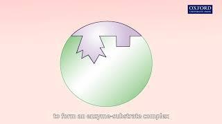 Chapter 4 Flipped classroom