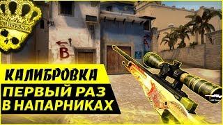 Калибровка напарников в кс го. Первый раз играю напарники в CS GO