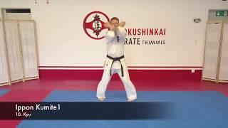 10.Kyu Kyokushinkai Ippon Kumite 1