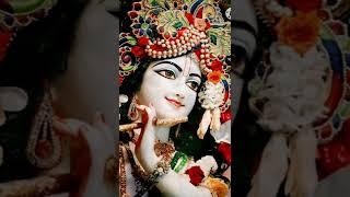 Radhe Radhe Japa Karo Krishna Naam Ras Piya Karo