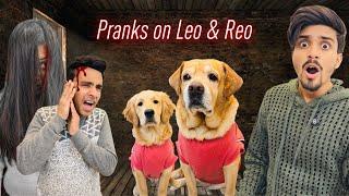 Crazy Pranks On Leo & Reo For 24 Hours | Daar Gaye Dono | Anant Rastogi