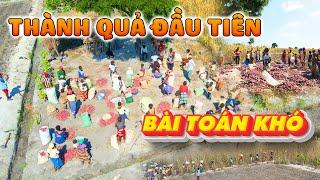 Quanglinhvlogs || Mùa Vụ Đầu Tiên Thành Công Tốt Đẹp - Cả Bản Làng Cùng Nhau Giải Bài Toán Khó...