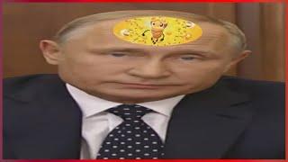 муд широкий путин