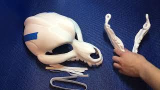 Tutorial Skulldog Assembly