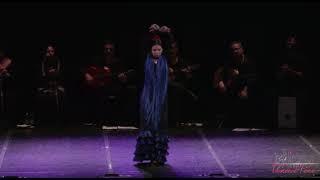 NATALIA ZAYKOVA / FLAMENCO PURO / IV CONCURSO INTERNACIONAL DE BAILE (Torino, Italia)