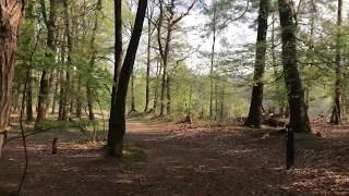 4K Virtual Run 'Rundje Jaomerdal' Venlo in spring 2018 60 minutes