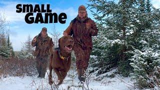 Small Game Hunting with a .410 Shotgun in the Snow ! - Catch & Cook ( COQ AU VIN recipe !)