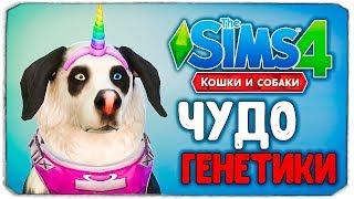 ЧУДО ГЕНЕТИКИ, СОБАКИ - The Sims 4 "Кошки и Собаки"