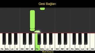 Gesi Bağları Melodika Org Notaları