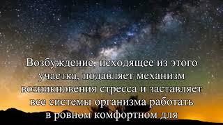 Спицетерапия как вязание помогает похудеть  — Статья