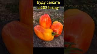Буду сажать в 2024 году. Часть 2 #теплица #сад #огород