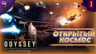 ГЛАЗАМИ НОВИЧКА  Прохождение Elite Dangerous Часть 1