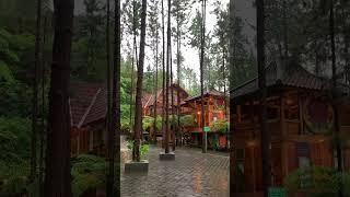 Pemandian air panas | Guci Forest Tegal #guci #tegal #airpanas