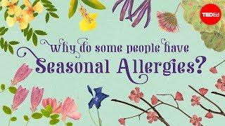 Why do people have seasonal allergies? - Eleanor Nelsen