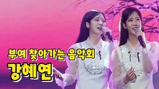 밝고 환한 트롯람쥐! 강혜연 라이브 부여 찾아가는음악회
