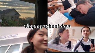 как я готовлюсь к ент| школьные будни | влог 2
