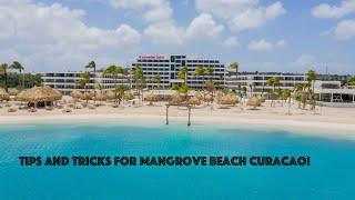 Ultimate Review of Corendon Mangrove Beach Curaçao!