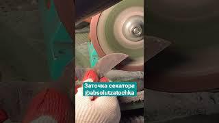 Заточка секатора для садовода, профессионально