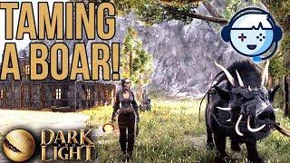 What a Boar! | Dark & Light | S1:Ep04