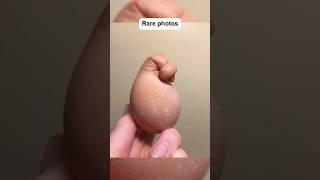 Rear photos haven’t seen #TrendingVideo #Shorts##ShortFeed #10,Million##HistoryPhotos #facts 10mview