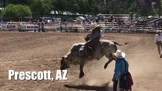 Prescott Frontier Days 2021: World’s Oldest Rodeo 2021