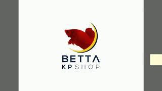 NƠI BẮT ĐẦU ĐAM MÊ. KP BETTA SHOP 0918665334