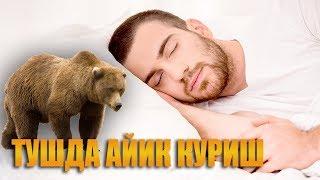 Туш табири - Тушда айик куриш