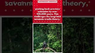 Rainforests: Nurturing Our Ancestors for Millennia