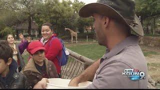 Reid Park Zoo launches new campaign aimed at getting you closer to animals