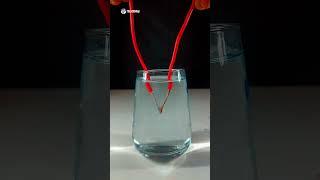 Crazy Experiment. Please Don't Try This At Home