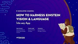 How to Harness Einstein Vision and Language in Any App