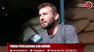 Fındık fiyatlarında son durum