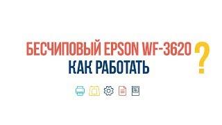 #ВопросОтвет: Правила работы с бесчиповым Epson WF-3620