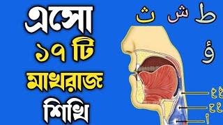 Makhraj of Arabic letters || মাখরাজ || সহি কোরআন শিখুন