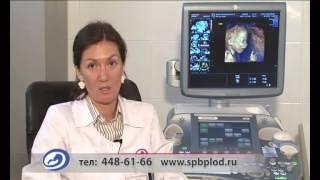 Центр медицины плода
