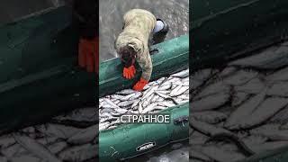 Рыбаки в России Выловили ЧУЖОГО