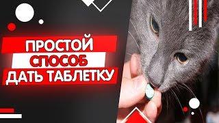 Как дать коту таблетку от глистов, как часто давать таблетки от глистов