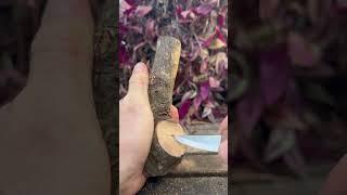 Let me tell you a secret  #nature #woodcarving #woodworking #satisfying #diy #vibes #peace