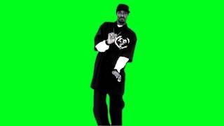 Chroma Key   Snoop Dogg Smoke Weed Everyday