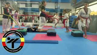 Entrenamiento para niños en TAEKWONDO Heredia