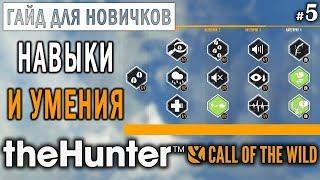 theHunter Call of the Wild #5  - Навыки и Умения - ГАЙД для Начинающих