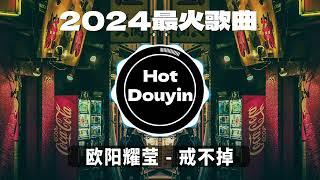 欧阳耀莹 - 戒不掉 (抖音DJ)2024最火歌曲DJ Remix 抖音版  Chinese DJ舞曲串烧 2024最好的音樂Chinese DJ remix Douyin Dj抖音版2024