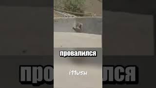 Почти цирковой мишка