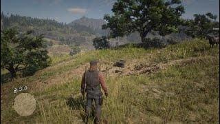 Hennigan's stead north treasure location    red dead online