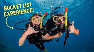 FINALLY Visiting the GREAT BARRIER REEF!! (What to Expect on a Day Trip from Cairns) - Queensland