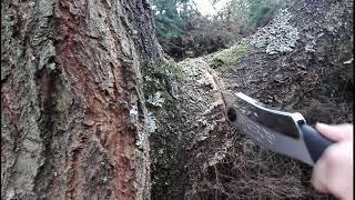 How useful and practical is the Silky Bigboy saw